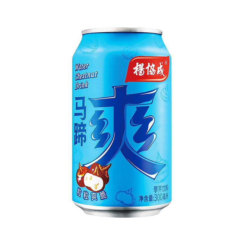 杨协成马蹄爽罐装300ml