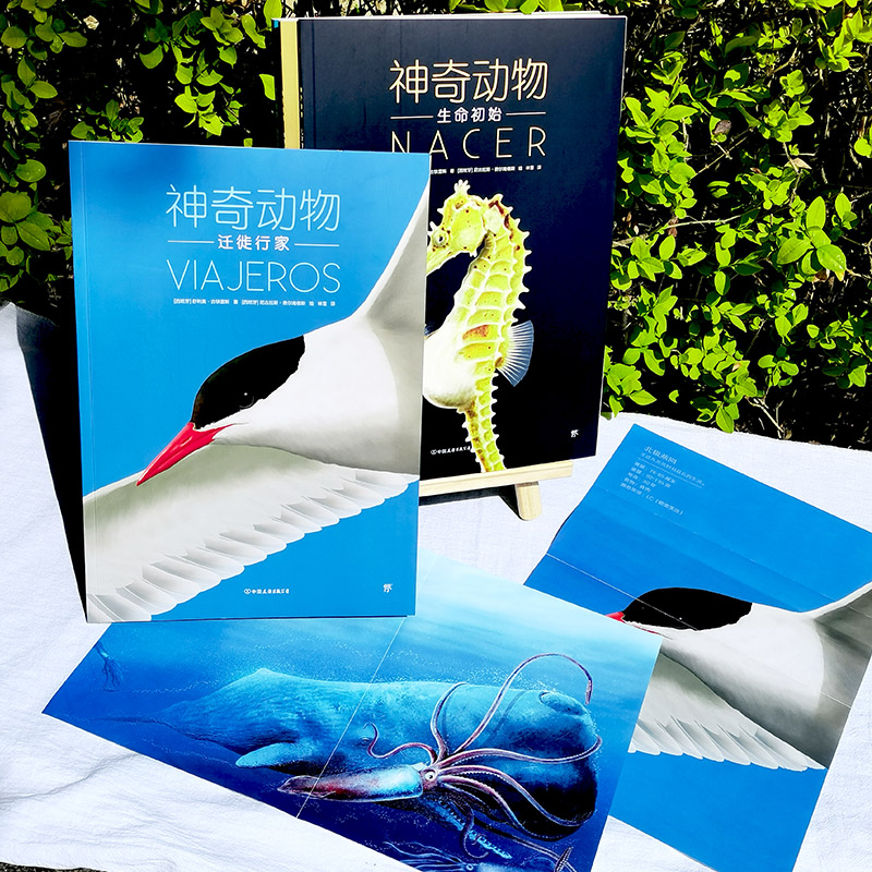 醉染图书动物(全6册)9787505750166高清大图