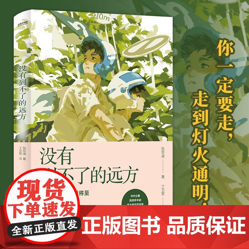 没有到不了的远方 中考语文热点作家作品解析 语文教师张亚凌的美文选集 6789年级通用初中生语文作文阅读书目 中国友谊出高清大图