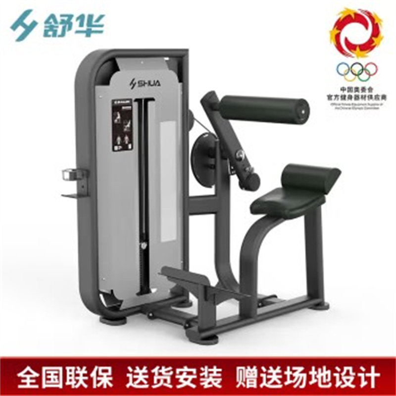 舒华(SHUA)背肌伸展训练器