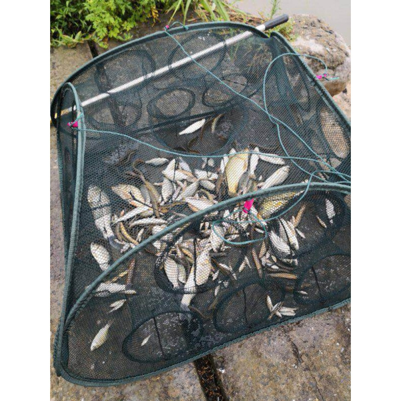 鱼网鱼笼捕鱼折叠自动扑鱼网手抛渔网龙虾笼捕虾网泥鳅鳝鱼笼网
