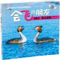 “浪里白”凤头