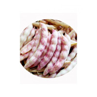 黄金勾豆角 5斤 黄豆角翻白眼油豆角勾勾黄