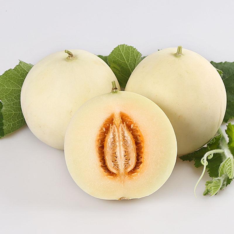 陕西阎良白皮甜瓜3斤现摘新鲜水果小