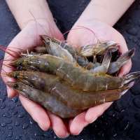【已检疫】特大基围虾白虾 每盒装18-25只500g（净重400g）南美大虾 海产冷冻虾 九善食