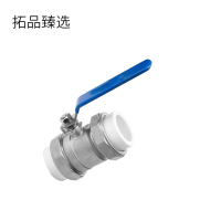 拓品臻选 PPR双活阀门 DN32 个
