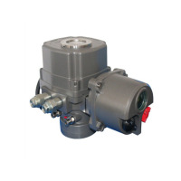 电动阀门执行器 QT30-1 货期5-10天