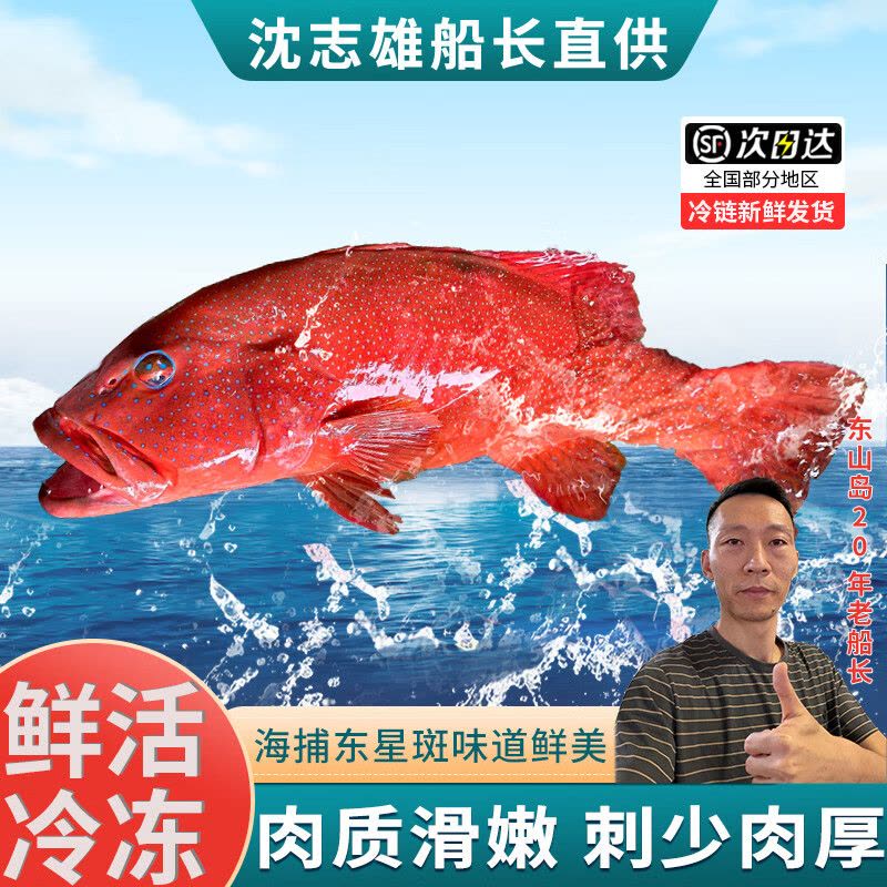 沈志雄 船长 福建东山岛澳角村海鲜海捕东星斑年货礼包年货年夜饭送礼图片