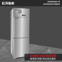 松润智能 立式风冷冷柜 SCT-D2201A 立式上下两门风冷冷冻柜（冷冻-18℃）