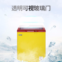SAST 商用冰柜展示雪糕柜家用 小型卧式冷柜圆弧形玻璃门 双温小冷柜冷藏冷冻转换柜小卖部超市 BD/BC-138A