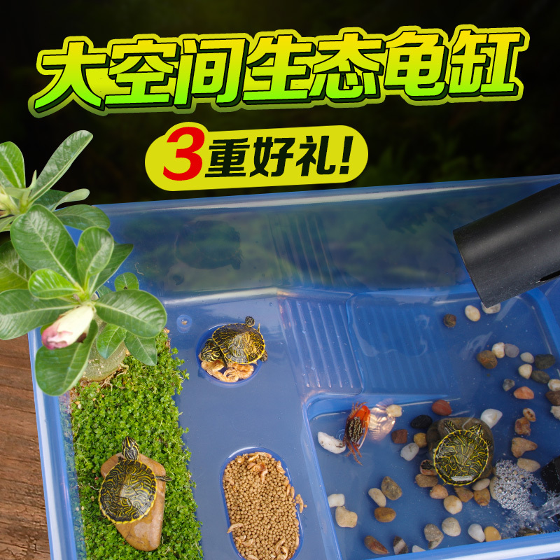 乌龟缸带晒台露台水龟金鱼缸龟箱家用专用生态养龟免换水鱼龟混养