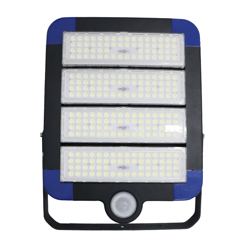 鼎晟丰(DSF)DSFGZ-936T-200 220V 200W IP66 LED LED智睿全维智能泛光灯 (计量单位:个)