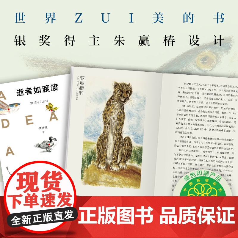 逝者如渡渡高清大图