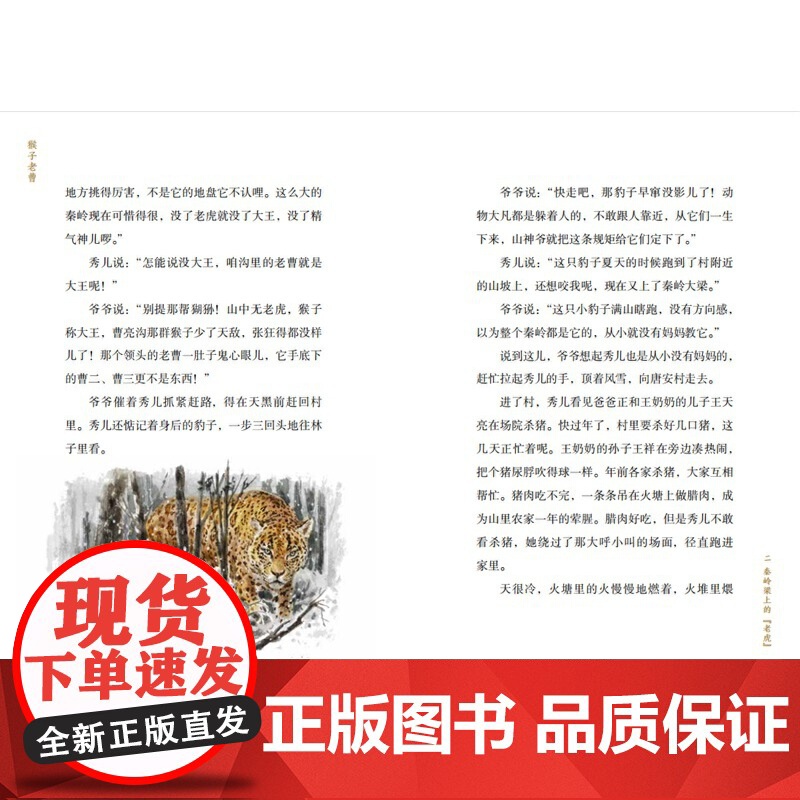 猴子老曹高清大图