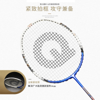 强力(QIANGLI) 羽毛球拍全碳素纤维超轻稳定耐用攻守兼备 101铝合金双拍