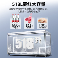 星星(XINGX)商用冰柜518升大容量卧式单温冷藏冷冻转换柜超市便利店保鲜雪糕柜BD/BC-518GD