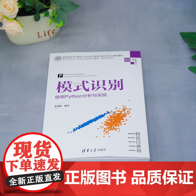 [正版新书]模式识别——使用Python分析与实现 蔡利梅 清华大学出版社 人工智能高清大图