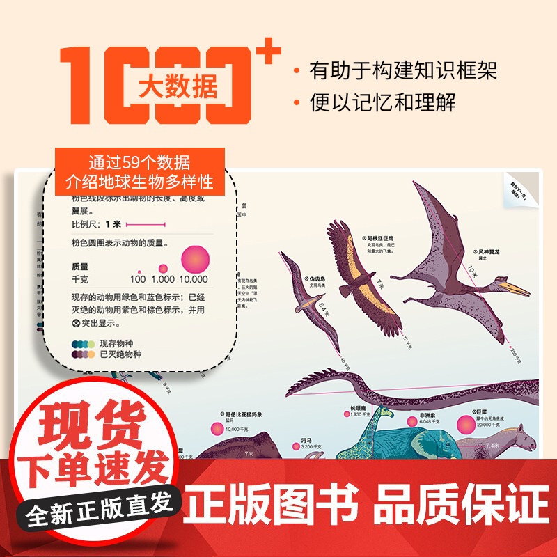 大英儿童百科知识大数据全书小学生7-10-12岁一二三四五六年级阅读课外书籍大英儿童百科十万个为什么中国少儿科学启蒙高清大图