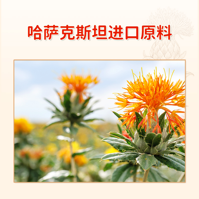 [戈壁工坊] 5L红花籽油高清大图