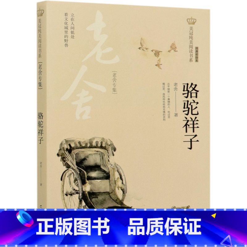 [正版]骆驼祥子老舍专集经典彩绘本美冠纯美阅读书系 老舍 晨光出版社 中国儿童文学 9787571503956高清大图
