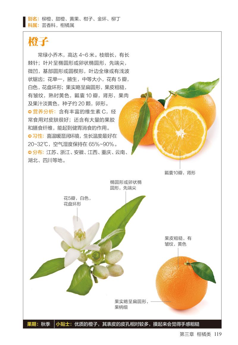 [正版]常见水果图鉴(77种水果的识别方法)/图鉴珍藏丛书 家庭养/生保健书籍 健康营养饮食 食疗书籍 食材密码高清大图
