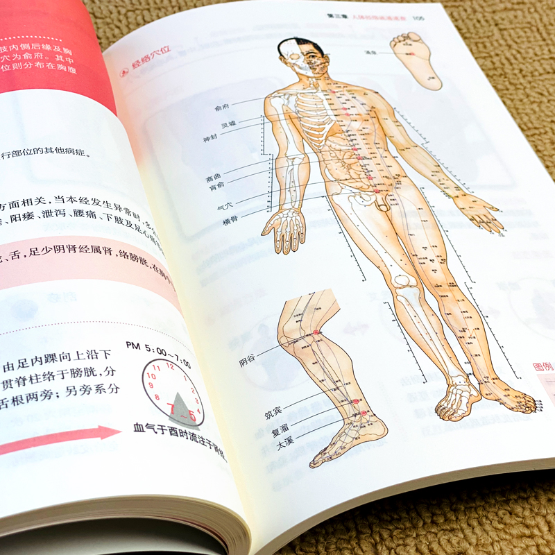醉染图书零基础巧取穴位9787555283942高清大图