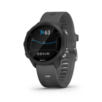 佳明（GARMIN）跑步手表Forerunner245神秘灰 三星定位智能血氧监测多功能户外运动心率表