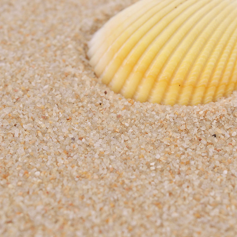 粗沙(5斤装) 天然海沙玩具散沙白沙乌龟下蛋沙儿童乐园摆摊沙子拳击