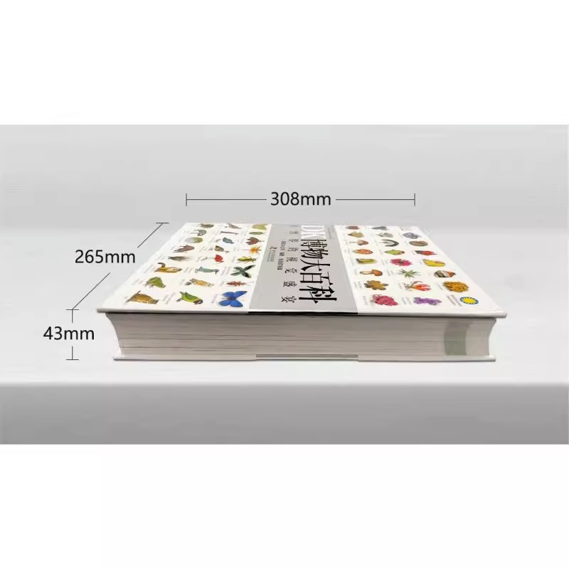 [DK系列]儿童百科全5册 [正版]DK博物大百科全书中文 dk儿童动物恐龙植物生物我们的身体6-7-10岁精装绘本一年