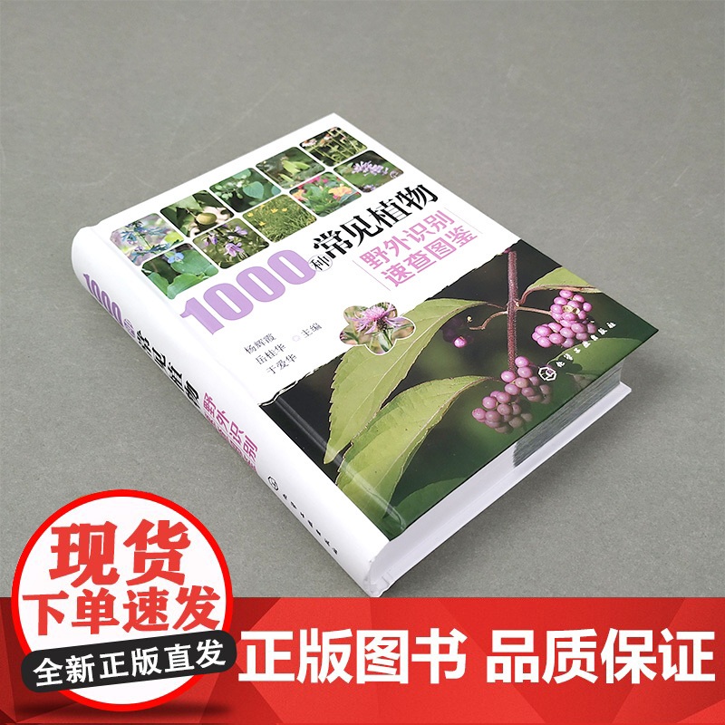 正版1000种常见植物野外识别速查图鉴 图解中草药大全 化学工业社 野外识别原植物鉴别图册中国常用手册 图识别与应用图典高清大图
