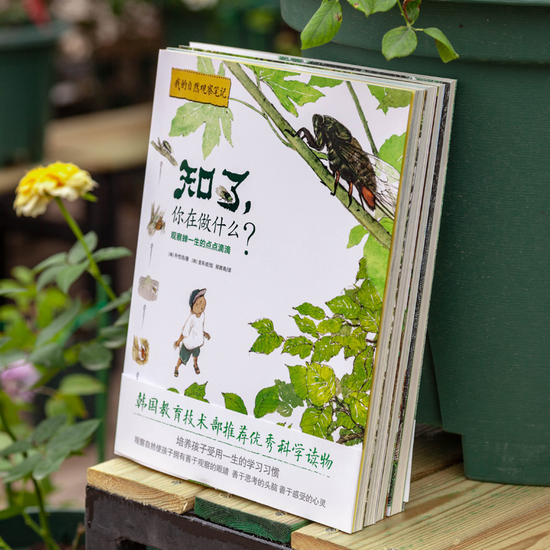 醉染图书我的自然观察笔记(全4册)9787550215450高清大图