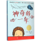 正版新书]神奇的一年汉克斯9787501609710