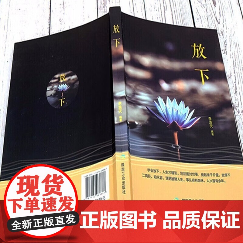 静心书籍 放下 正版放下人生智慧哲学青春成功励志心灵鸡汤正能量治愈系修心修身养性哲理必看的书书排行榜成人高清大图