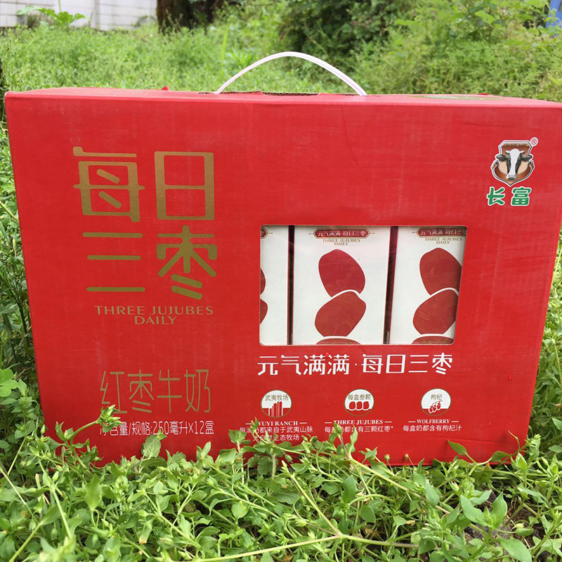 长富 每日三枣红枣牛奶250ml*12/件