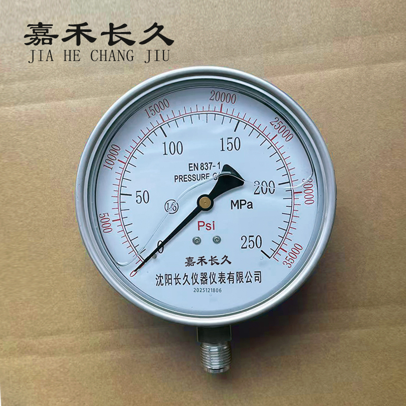 嘉禾长久 不锈钢耐震压力表 YTN150 0-250MPa 台高清大图
