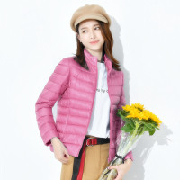 北极绒轻薄保暖羽绒服女短款立领时尚韩版修身2019冬大码女装外套羽绒外衣aL50W