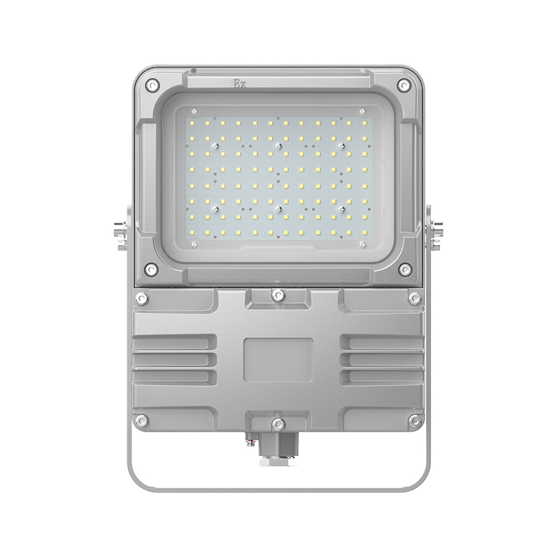欧辉照明 (OHUIZAOMIN) OHSF9193-100W 三防投光灯 套 1 付款后15天内发货