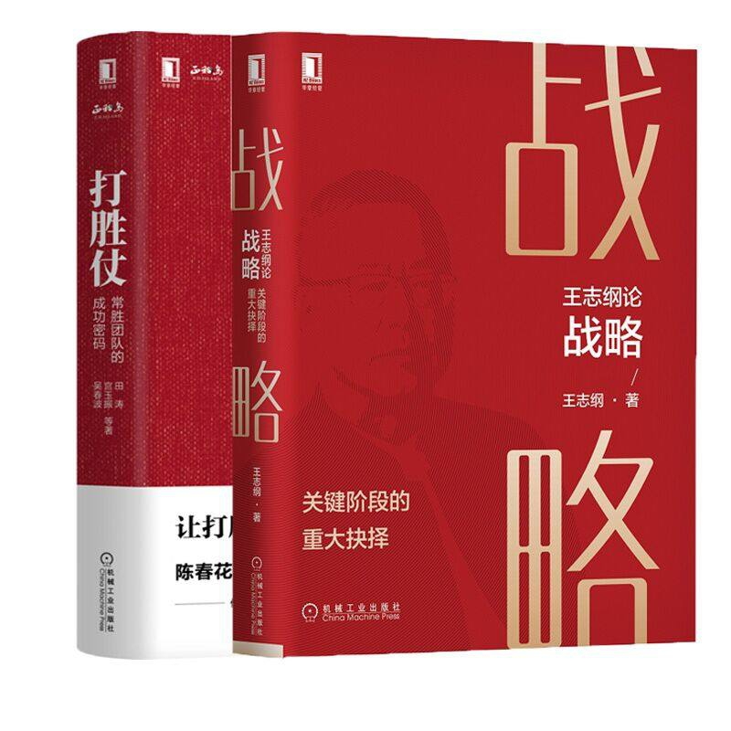 音像王志纲论战略+打胜仗(共2册)田涛,宫玉振,吴春波