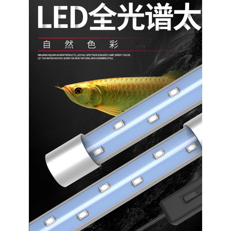鱼缸灯原装水族箱LED灯管防水小型节能照明红灯鱼缸顶灯led灯高清大图