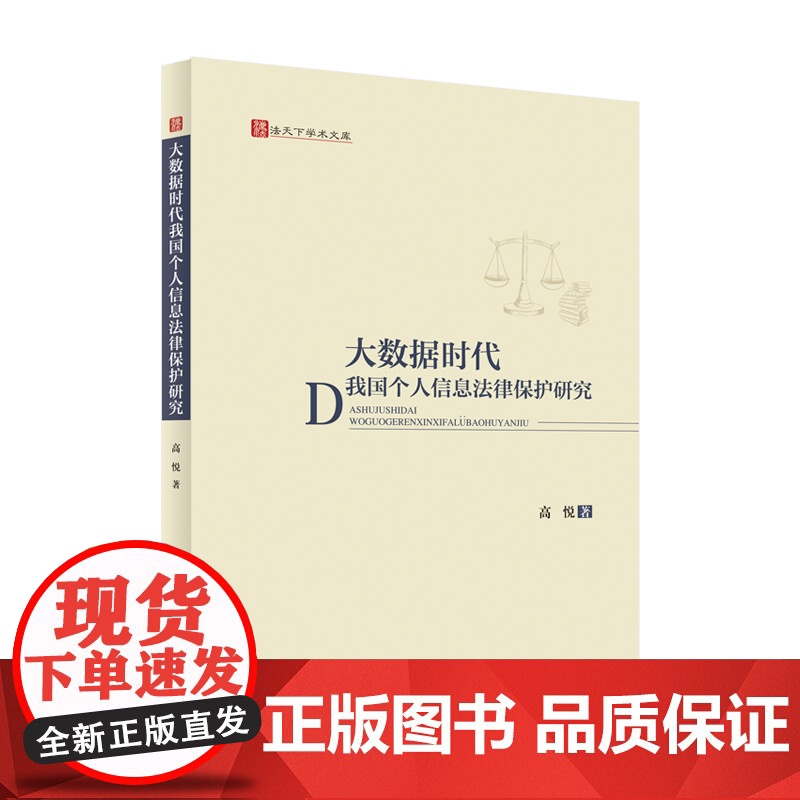 法学著作 大数据时代我国个人信息法律保护研究 高悦 著 法天下学术文库 中国政法大学出版社高清大图