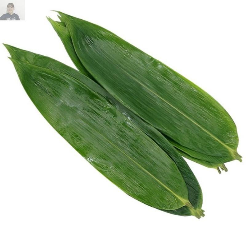 粽子叶湿粽叶新鲜大粽叶棕叶真空包装非芦苇叶干大粽叶