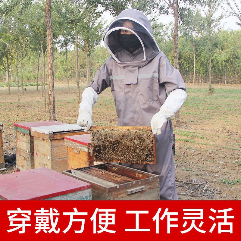半身蓝色防护服[单件] 均码适合60kg-85kg 防蜂衣蜜蜂防护服全套透气养蜂防蜂衣加厚连体含防蜂帽养蜂专用