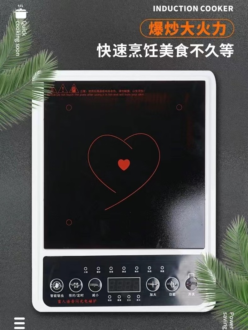 先腾 闪光盲文语音电磁炉 XT-A2高清大图