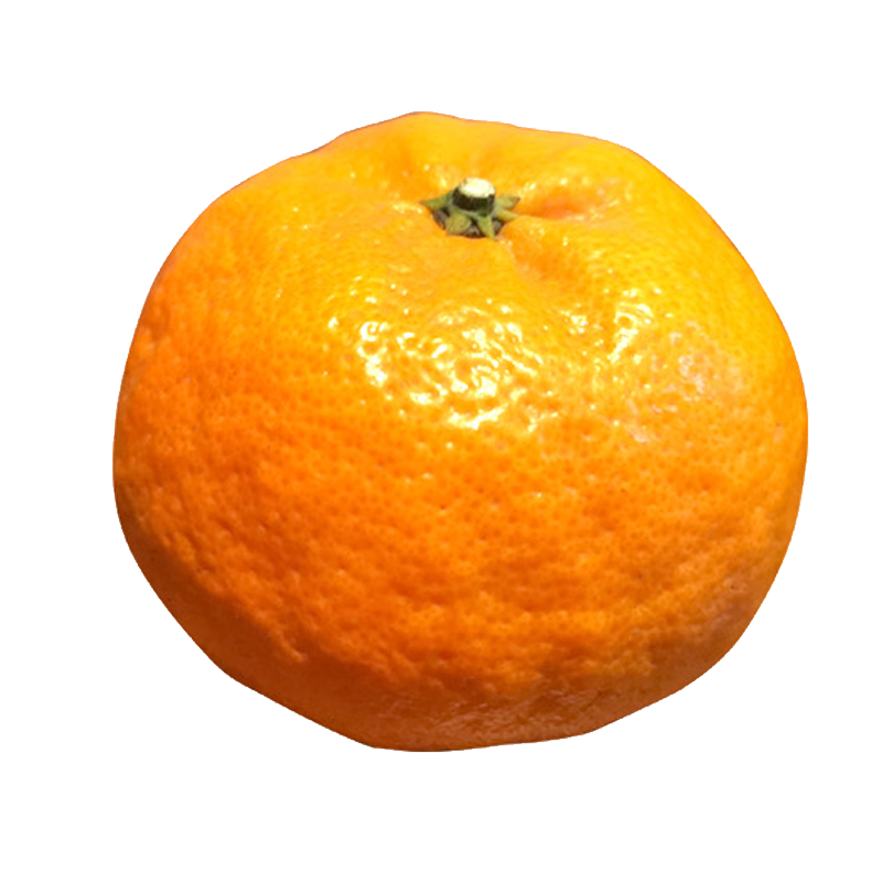 鲜妙一站宁波特产象山柑橘甘平蜜桔当季新鲜水果大果礼盒装送礼5斤装