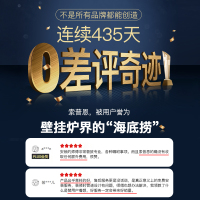 索普恩(SOOPOEN) 燃气壁挂炉天然气采暖地暖锅炉L1PB40-SF