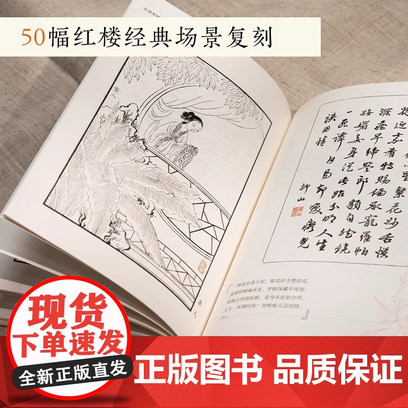红楼梦图咏 清代仕女画大家改琦图绘《红楼梦》人物大展现 50余幅丹青写尽红楼众生 每幅画作均配原版题咏诗词清代工笔画古典高清大图