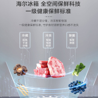 海尔(Haier)519升十字门超薄零嵌冰箱 全空间保鲜 EPP超净系统 宽幅变温 BCD-519WGHTD1BGTU1