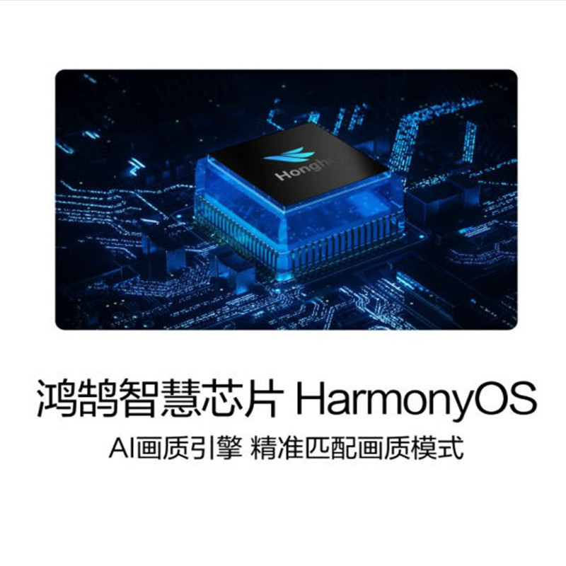 华为(HUAWEI)智慧屏V65 HEGE-560 4K全面屏智能电视机多方视频通话 65英寸底座版(含移动支架)
