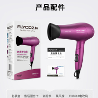 飞科(FLYCO) 电吹风机 FH6618 大功率负离子吹风机2000W 过热保护恒温家用发廊吹风筒 手柄可折叠