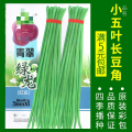 蔬菜种子四季播盆栽阳台庭院辣椒番茄甜瓜黄瓜简单秋易种籽孑大全 均码 长豆角约40粒